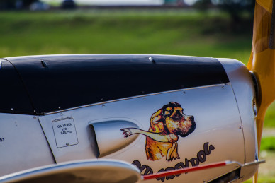 dog-g53e544338_1920