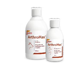 ArthroMax 500 ml