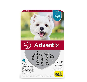 advantix Spot-on dla psów o masie ciała 4-10 kg 1 pipeta