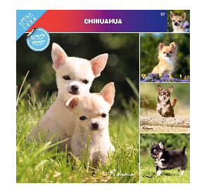 Kalendarz 2023 Chihuahua