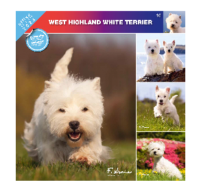 Kalendarz 2023 West Highland White Terrier