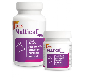 Multical Plus 90 tabletek