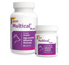 Multical Plus 90 tabletek mini