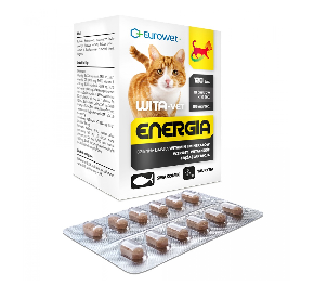 WITA-VET ENERGIA 120 tabletek