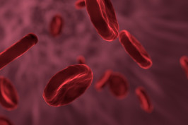 red-blood-cells-3188223_1920