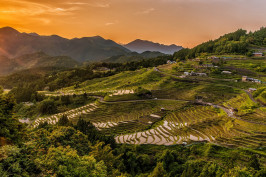 rice-terraces-2389023_1920