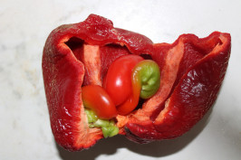 spoiled-red-bell-pepper-g6cdccc156_1920
