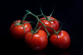 tomatoes-g08255235f_1920